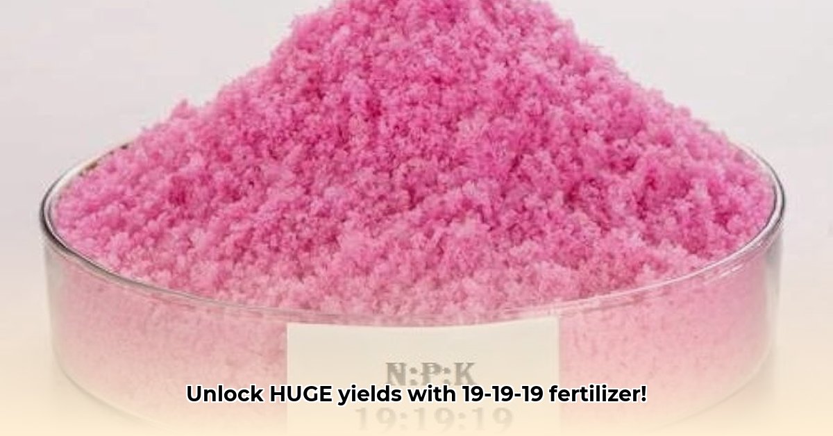 19-19-19-fertilizer-tractor-supply